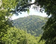 IMG_4080.JPG