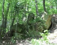 IMG_4081.JPG
