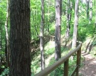 IMG_4083.JPG