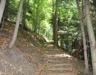 IMG_4110.JPG