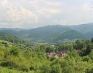IMG_4618.JPG
