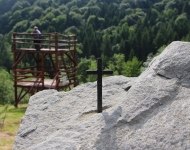 IMG_4629.JPG