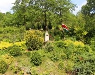 IMG_4633.JPG