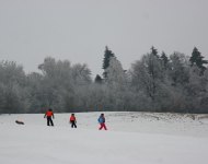 DSC01483.JPG