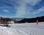 20190122_102258.jpg