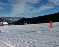 20190122_102536.jpg