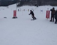 52956303_956835721176052_3436296474743275520_n.jpg