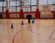 IMG_2376.JPG
