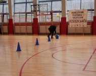 IMG_2377.JPG