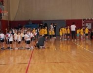 IMG_2381.JPG
