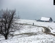 fot-0020.jpg