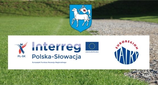 Międzynarodowa Gra Miejska 